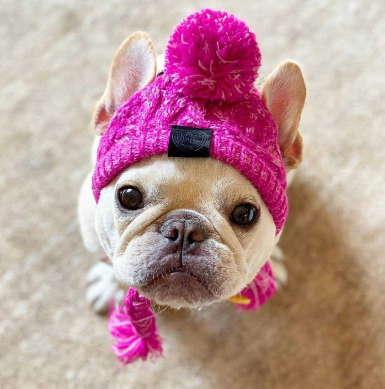 Pawfect Winter Bobble Hat - Cosy & Cute Dog Beanie