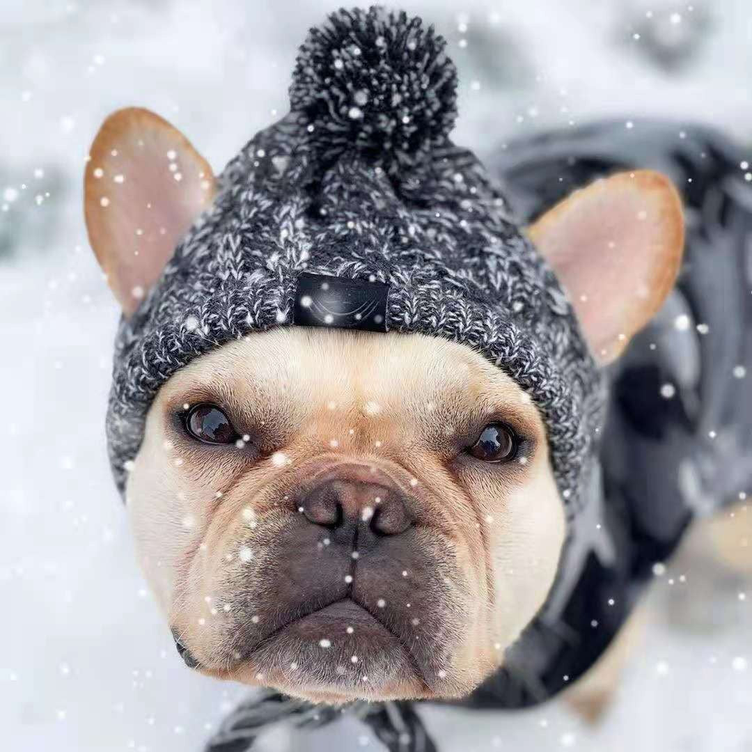 Pawfect Winter Bobble Hat - Cosy & Cute Dog Beanie