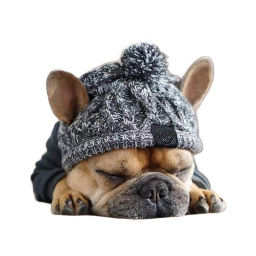 Pawfect Winter Bobble Hat - Cosy & Cute Dog Beanie