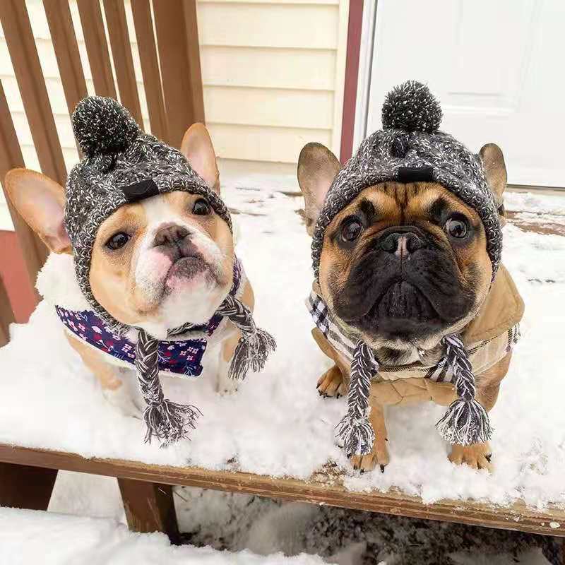 Pawfect Winter Bobble Hat - Cosy & Cute Dog Beanie